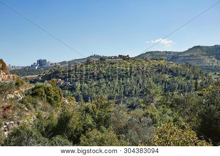 Forest Of Sataf West Of Jerusalem Israel. A Beautiful Area Of Hiking And Enjoying The Nature.