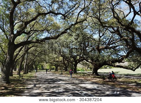 People On The Walking Path In Audubon Park, New Orleans