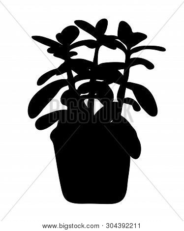Vector Illustration, Isolated Decorative Crassula Plant In A Pot Silhouette