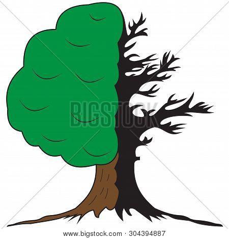 An Illustration Of A Symbolic Tree Of Two Halves Alive And Green And Dried And Dead