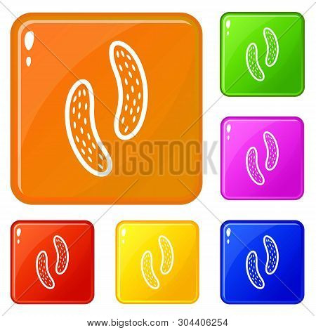 Epithelial Cell Icons Set Collection Vector 6 Color Isolated On White Background