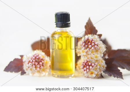 Ninebark Essential Oil In  Beautiful Bottle On White Background
