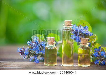 Bugleherb Essential Oil In A Beautiful Bottle On The Wooden Background