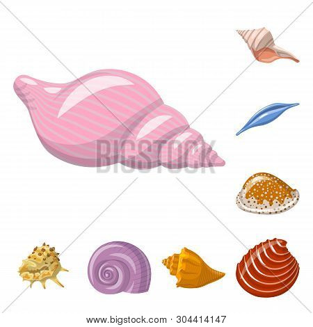 Vector Illustration Of Seashell And Mollusk Icon. Set Of Seashell And Seafood  Stock Vector Illustra