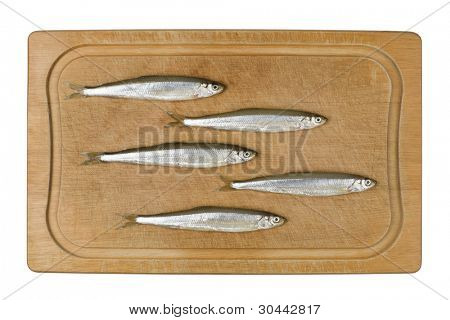 生小魚 （engl.シシャモ;緯度における)、まな板の上で産みます。白で隔離