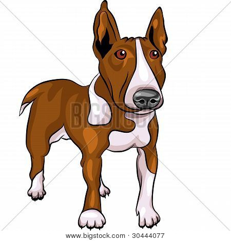 Vector Cartoon Bull Terrier cane razza