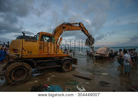 29 may 2019 MuiNe, Vietnam. Beached blue whale (scientific name: Balaenoptera musculus) was found deaded and pulled out by a crowd of people and escalator. Then buried by locals according to tradition