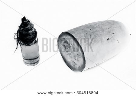 Raw Organic Cut Half Bottle Gourd Isolated On White Along With Its Extracted Beneficial Oil In A Sma