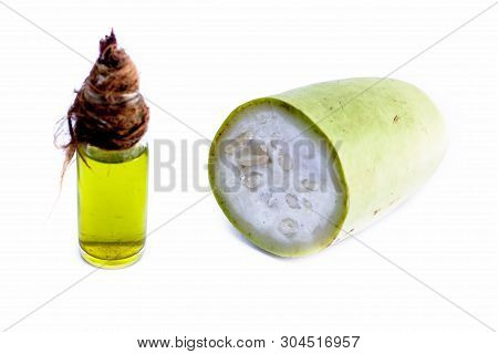 Raw Organic Cut Half Bottle Gourd Isolated On White Along With Its Extracted Beneficial Oil In A Sma
