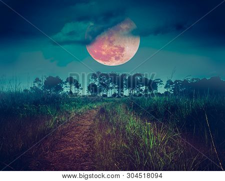 Landscape At Night Time In The Forest With Fogy And Darkness Sky Super Blood Moon In The Background,