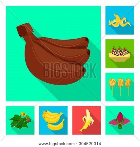 Isolated Object Of Natural And Vegetarian Symbol. Set Of Natural And Eating Vector Icon For Stock.
