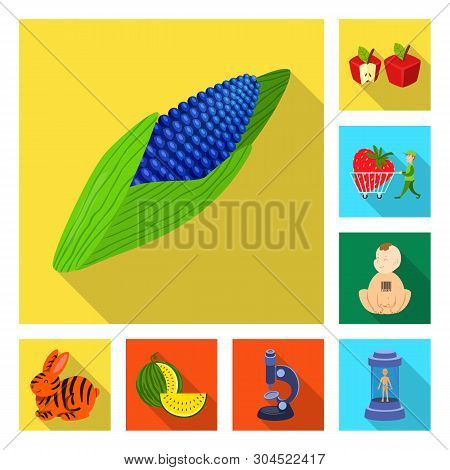 Vector Design Of Test And Synthetic Symbol. Set Of Test And Laboratory Vector Icon For Stock.