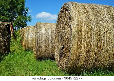 Big Straw Bales Under Blue Sky In Summer