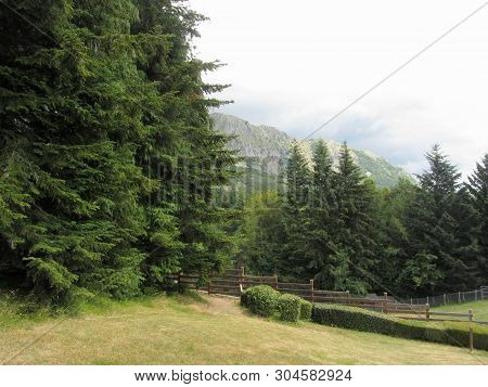 View Of The Pania Di Corfino Mountain From The Orecchiella Nature Park In Summer . Lucca, Tuscany, I