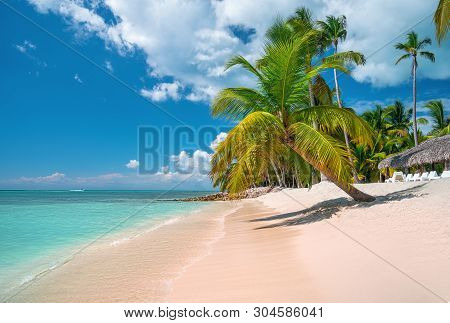Tropical Caribbean Island Saona, Dominican Republic. Beautiful Beach, Palm Trees And Clear Sea.