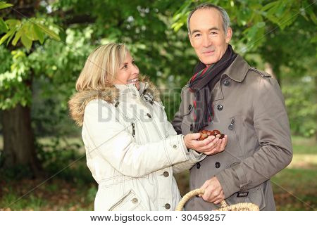 Par indsamling conkers