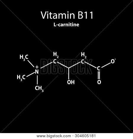 Vitamin B11. L-carnitine Molecular Chemical Formula. Infographics. Vector Illustration On Black Back