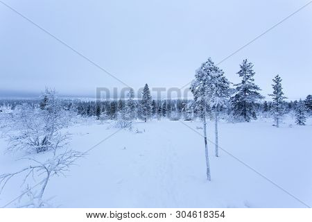 Frozen Landscape During Polar Night In Saariselka, Finland