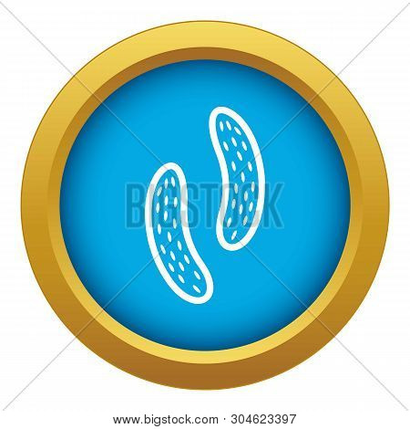 Epithelial Cell Icon Blue Vector Isolated On White Background For Any Design