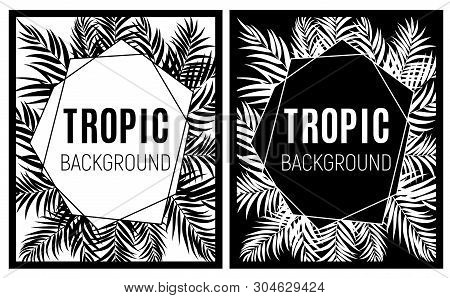 Beautifil Palm Tree Leaf Tropical Silhouette Background Vector Illustration