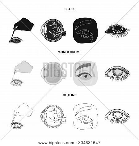 Vector Illustration Of Medical And Eyeball Symbol. Set Of Medical And Optical Stock Vector Illustrat