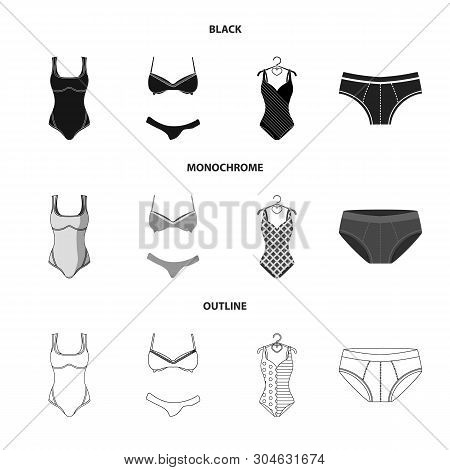 Isolated Object Of Bikini And Fashion Sign. Set Of Bikini And Swimsuit Vector Icon For Stock.
