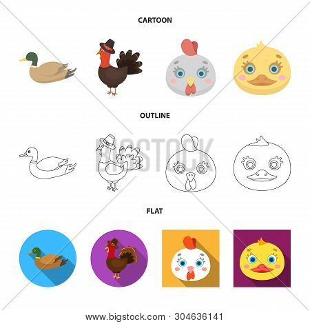 Vector Design Of Funny And Poultry Logo. Collection Of Funny And Farming Vector Icon For Stock.