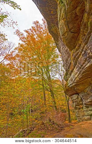 Fall Colors From Under A Sandstone Cliff On The Rim Rock National Trail In Shawnee National Forest I