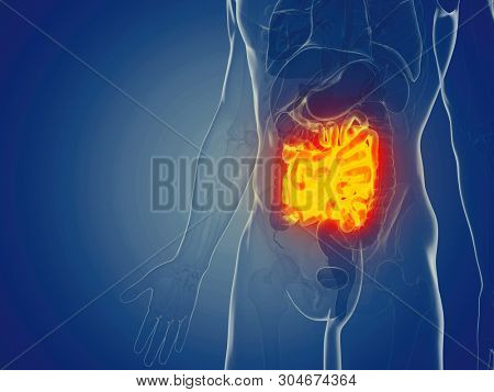 3d rendered medically accurate illustration of a mans small intestine