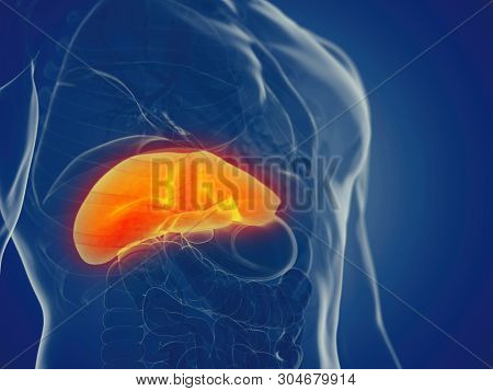 3d rendered medically accurate illustration of a mans liver