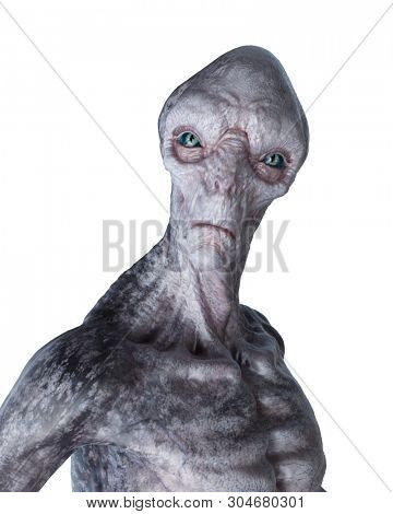 3d rendered illustration of a grey alien