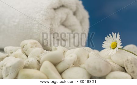 Asciugamano bianco e Daisy sulla spiaggia