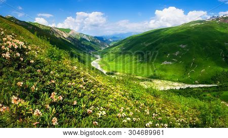Summer Mountains. Mountain Landscape On Sunny Clear Day. Grassy Mountains Valley. Green Grass On Mea