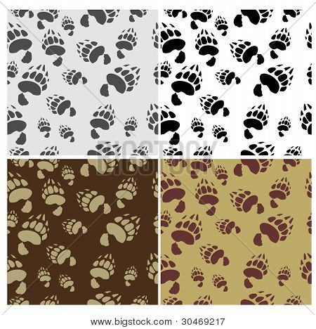 완벽 한 짜임새를 추적 하는 곰