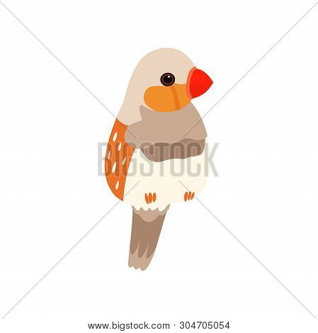 Little Amadin Bird, Cute Birdie Home Pet Vector Illustration