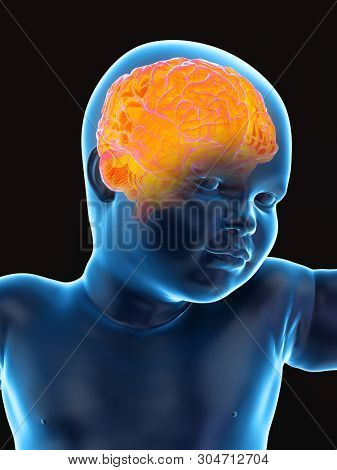 3d rendered medically accurate illustration of a babys brain