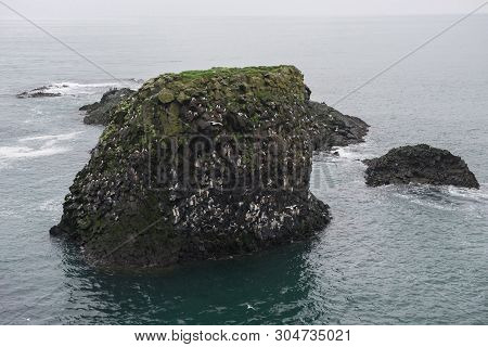 Arnarstapi Basalt Rock Arch Formation, Iceland