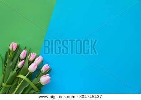 Springtime Blue  And Green Paper Background With Pink Tulips, Corner Composition, Plenty Of Text Spa