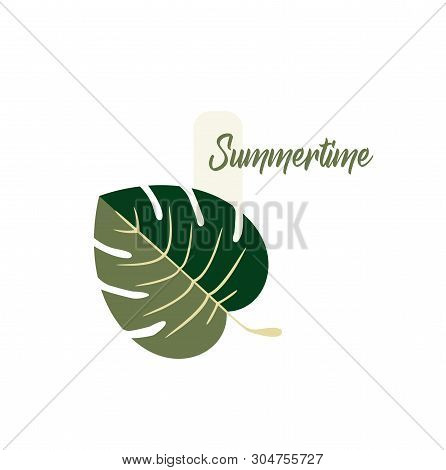 Summer Logo Vector Design - Tropical Monstera Leaf Plant Close-up - Summer Time