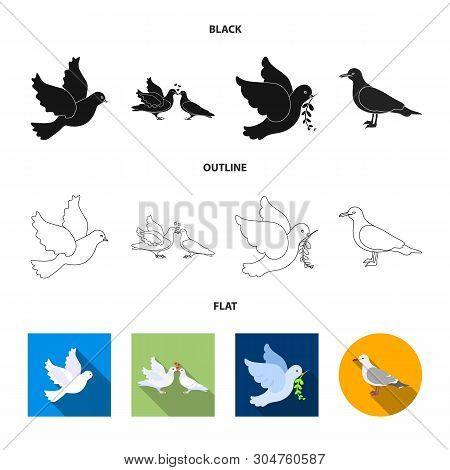 Isolated Object Of Flying And Dove Symbol. Collection Of Flying And Carrier Vector Icon For Stock.