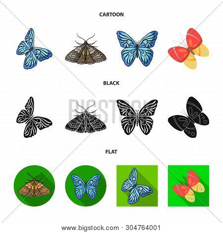 Vector Design Of Color And Spring Logo. Collection Of Color And Fly Stock Vector Illustration.