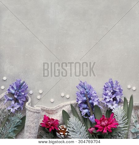 Winter Background With Seasonal Flowers - Blue Hyacinth And Burgundy Chrysanthemum. Top View On The 