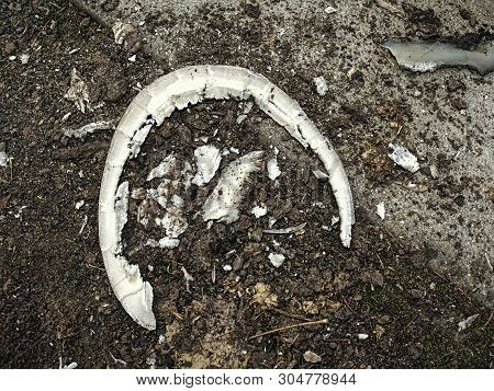 Waist Keratin After Hooves Modulation. The Blacksmith Hoof Trimming Is Necessary Procedure For Right
