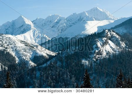 在冬天，特写的塔特拉山