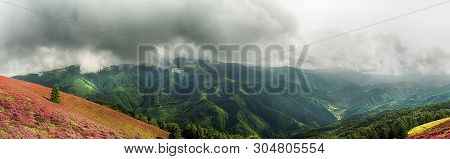 Spring Wildflowers On Magura Peak. Cindrel Mountains, Sibiu County, Romania, 1300m. Panoramic High R