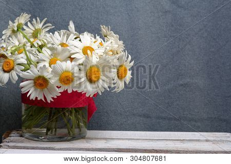 A Bouquet Of Field Daisies In A Glass Vase. On A Gray Background. Genus Of Perennial Flowering Plant