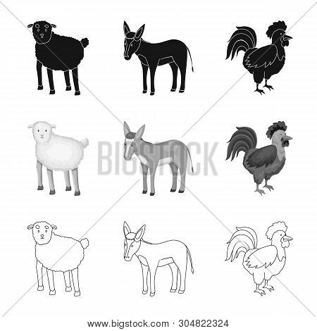 Vector Illustration Of Breeding And Kitchen  Icon. Collection Of Breeding And Organic  Vector Icon F