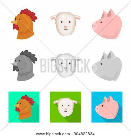Vector Design Of Agriculture And Breeding Icon. Collection Of Agriculture And Organic  Vector Icon F