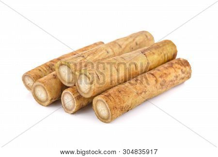 Fresh Burdock Root Or Gobo On White Background