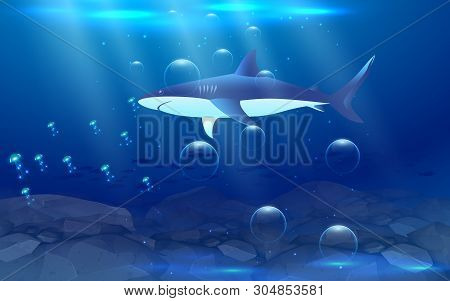 White Shark In The Ocean In The Night